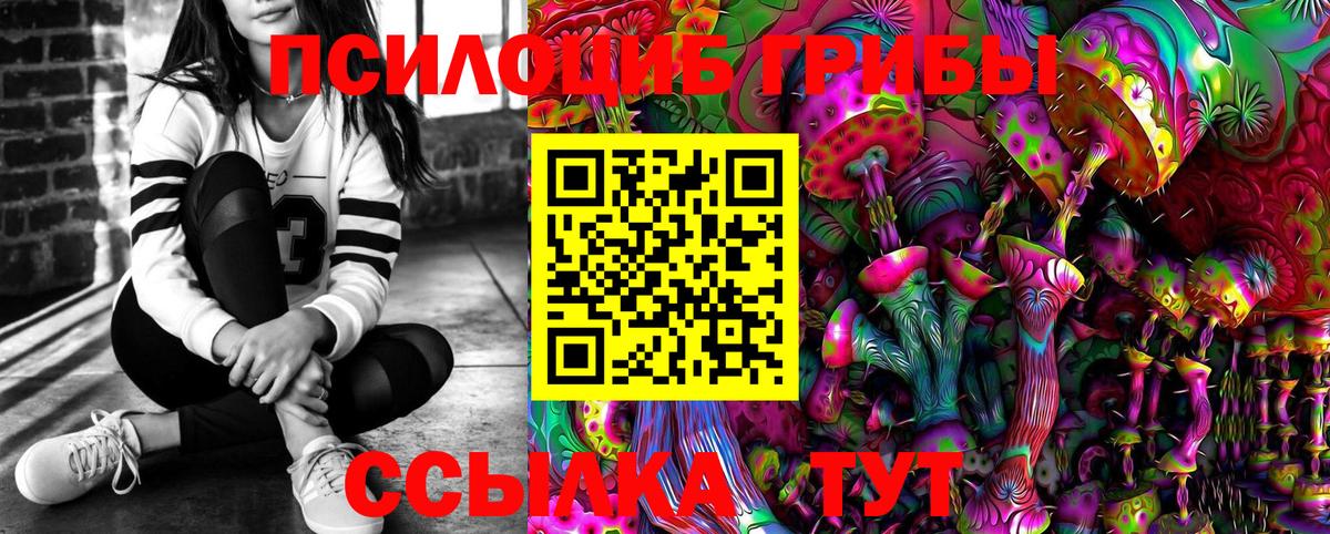 Галлюциногенные грибы Psilocybe  Вход с VPN  Гусиноозёрск 